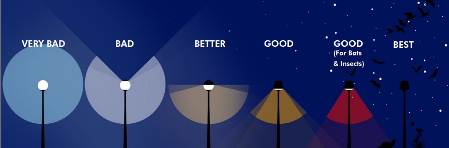 Lighting recommendation for areas close to sensitive or protected areas.